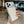 Capa de iPhone Case Mag Drop®