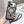 Capa de iPhone Case Mag Shine®