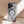 Capa de iPhone Case Mag Cloud®