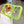 Capa de iPhone Case Mag Fresh®