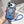 Capa de iPhone Case Mag Shine®