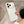 Capa de iPhone Case Dream®