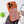 Capa de iPhone Case Glow®