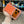 Capa de iPhone Case Mag Drop®