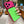 Capa de iPhone Case Spring®