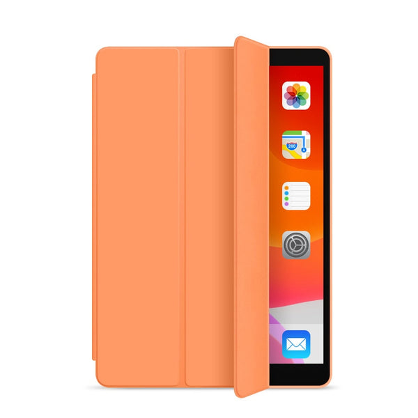 Case iPad Colors