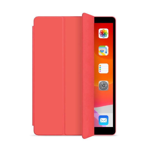 Case iPad Colors